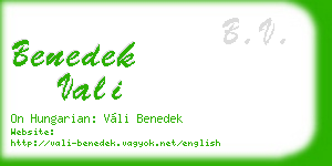 benedek vali business card